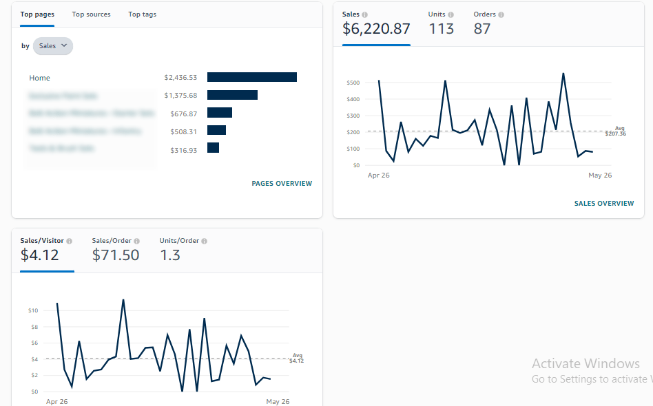 Amazon Success Story