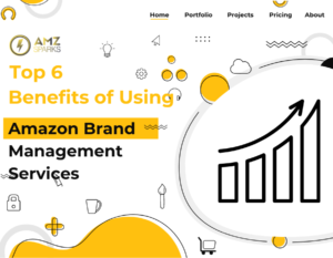 Amazon Brand Management Agency Can Skyrocket Your Sales